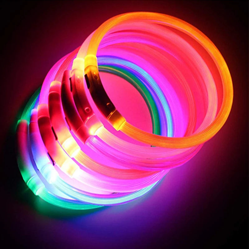 Collar luminoso recargable por USB, ajustable, con luz LED brillante, para perros grandes y pequeños, con luz nocturna y arnés de seguridad para mascotas.