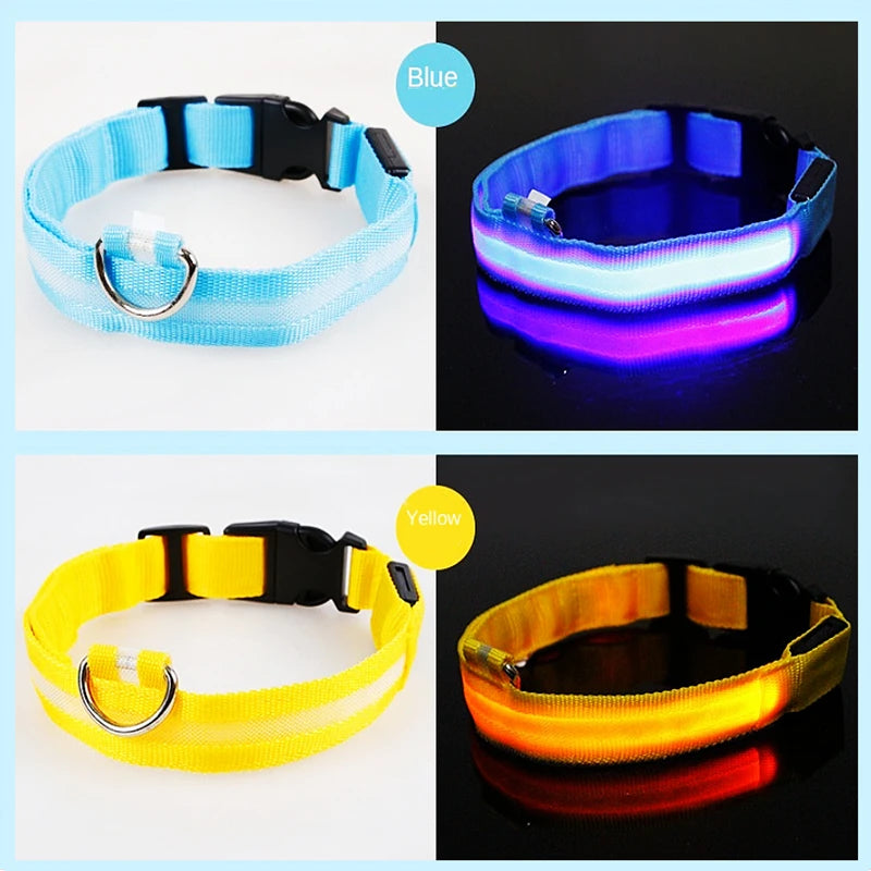 Collar luminoso recargable por USB, ajustable, con luz LED brillante, para perros grandes y pequeños, con luz nocturna y arnés de seguridad para mascotas.