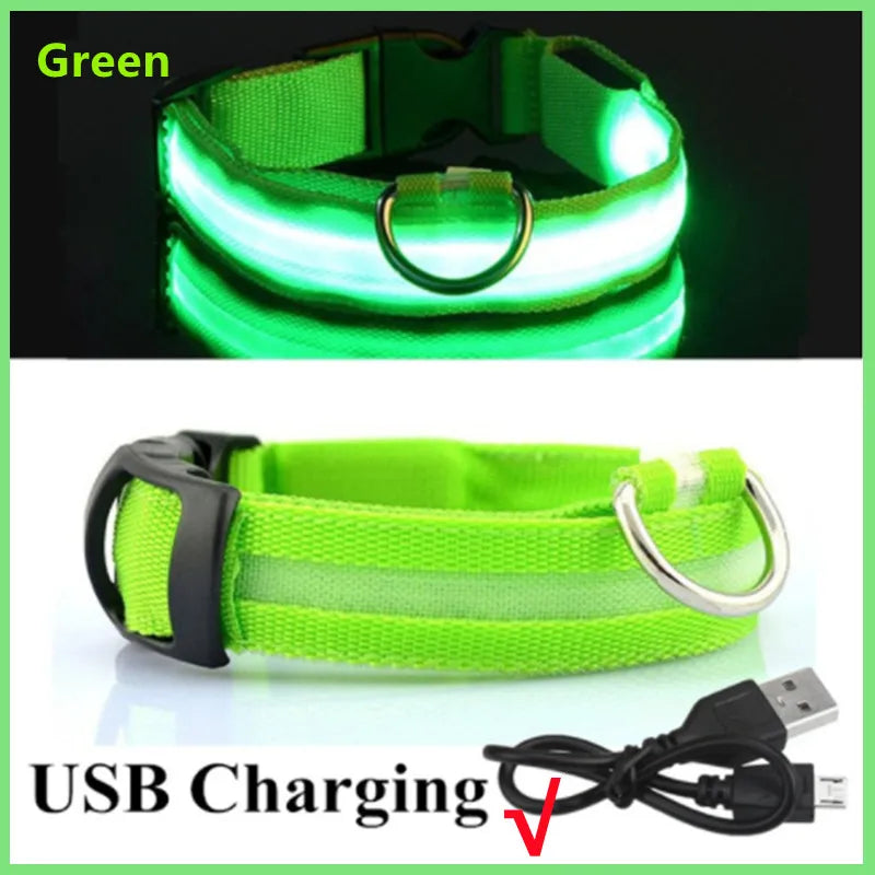 Collar luminoso recargable por USB, ajustable, con luz LED brillante, para perros grandes y pequeños, con luz nocturna y arnés de seguridad para mascotas.