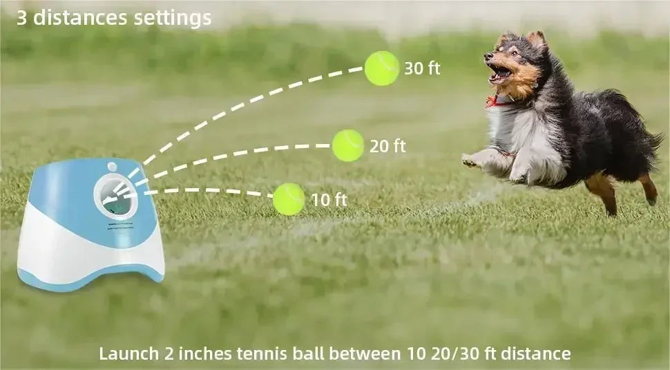 Juguete lanzador de pelotas para perros Productos para mascotas Juguetes para perros Mantener la salud de la mascota Lanzamiento automático 3 configuraciones de distancias Para jugar en interiores y exteriores