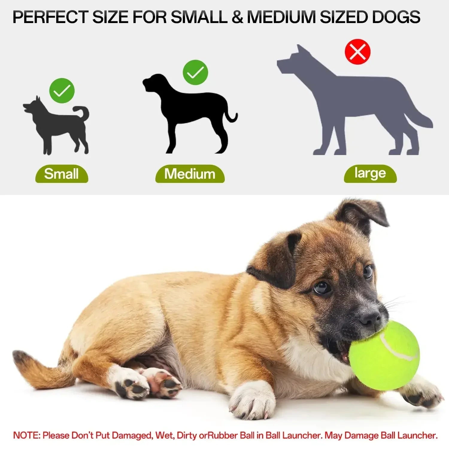 Juguete lanzador de pelotas para perros Productos para mascotas Juguetes para perros Mantener la salud de la mascota Lanzamiento automático 3 configuraciones de distancias Para jugar en interiores y exteriores