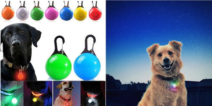 Collar luminoso recargable por USB, ajustable, con luz LED brillante, para perros grandes y pequeños, con luz nocturna y arnés de seguridad para mascotas.