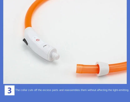 Collar luminoso recargable por USB, ajustable, con luz LED brillante, para perros grandes y pequeños, con luz nocturna y arnés de seguridad para mascotas.