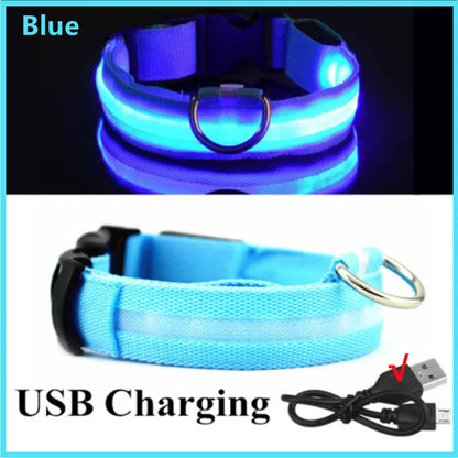 Collar luminoso recargable por USB, ajustable, con luz LED brillante, para perros grandes y pequeños, con luz nocturna y arnés de seguridad para mascotas.