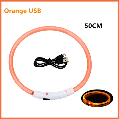Collar luminoso recargable por USB, ajustable, con luz LED brillante, para perros grandes y pequeños, con luz nocturna y arnés de seguridad para mascotas.