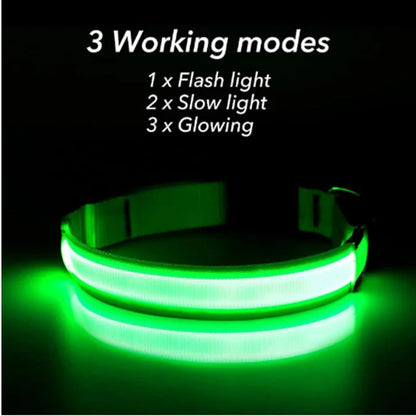 Collar luminoso recargable por USB, ajustable, con luz LED brillante, para perros grandes y pequeños, con luz nocturna y arnés de seguridad para mascotas.