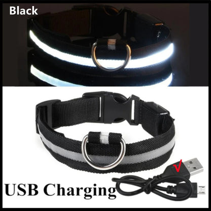 Collar luminoso recargable por USB, ajustable, con luz LED brillante, para perros grandes y pequeños, con luz nocturna y arnés de seguridad para mascotas.