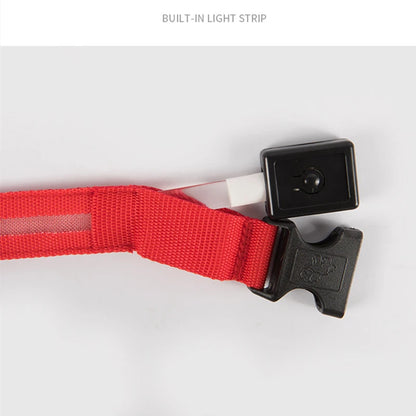 Collar luminoso recargable por USB, ajustable, con luz LED brillante, para perros grandes y pequeños, con luz nocturna y arnés de seguridad para mascotas.