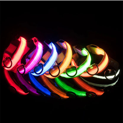 Collar luminoso recargable por USB, ajustable, con luz LED brillante, para perros grandes y pequeños, con luz nocturna y arnés de seguridad para mascotas.