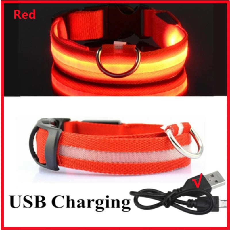Collar luminoso recargable por USB, ajustable, con luz LED brillante, para perros grandes y pequeños, con luz nocturna y arnés de seguridad para mascotas.