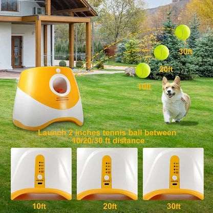 Juguete lanzador de pelotas para perros