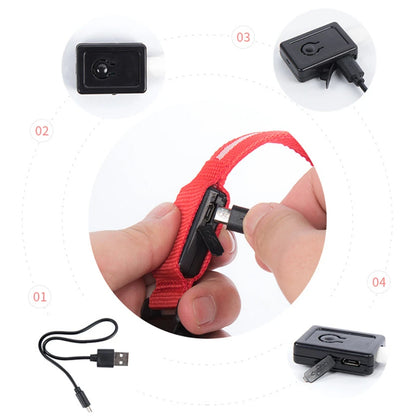 Collar luminoso recargable por USB, ajustable, con luz LED brillante, para perros grandes y pequeños, con luz nocturna y arnés de seguridad para mascotas.