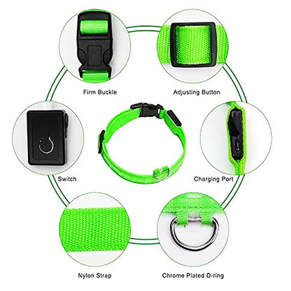 Collar luminoso recargable por USB, ajustable, con luz LED brillante, para perros grandes y pequeños, con luz nocturna y arnés de seguridad para mascotas.