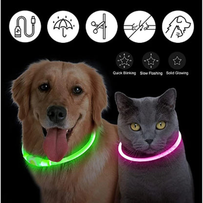 Collar luminoso recargable por USB, ajustable, con luz LED brillante, para perros grandes y pequeños, con luz nocturna y arnés de seguridad para mascotas.