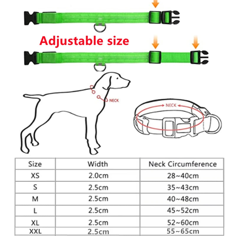Collar luminoso recargable por USB, ajustable, con luz LED brillante, para perros grandes y pequeños, con luz nocturna y arnés de seguridad para mascotas.