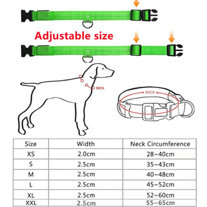 Collar luminoso recargable por USB, ajustable, con luz LED brillante, para perros grandes y pequeños, con luz nocturna y arnés de seguridad para mascotas.