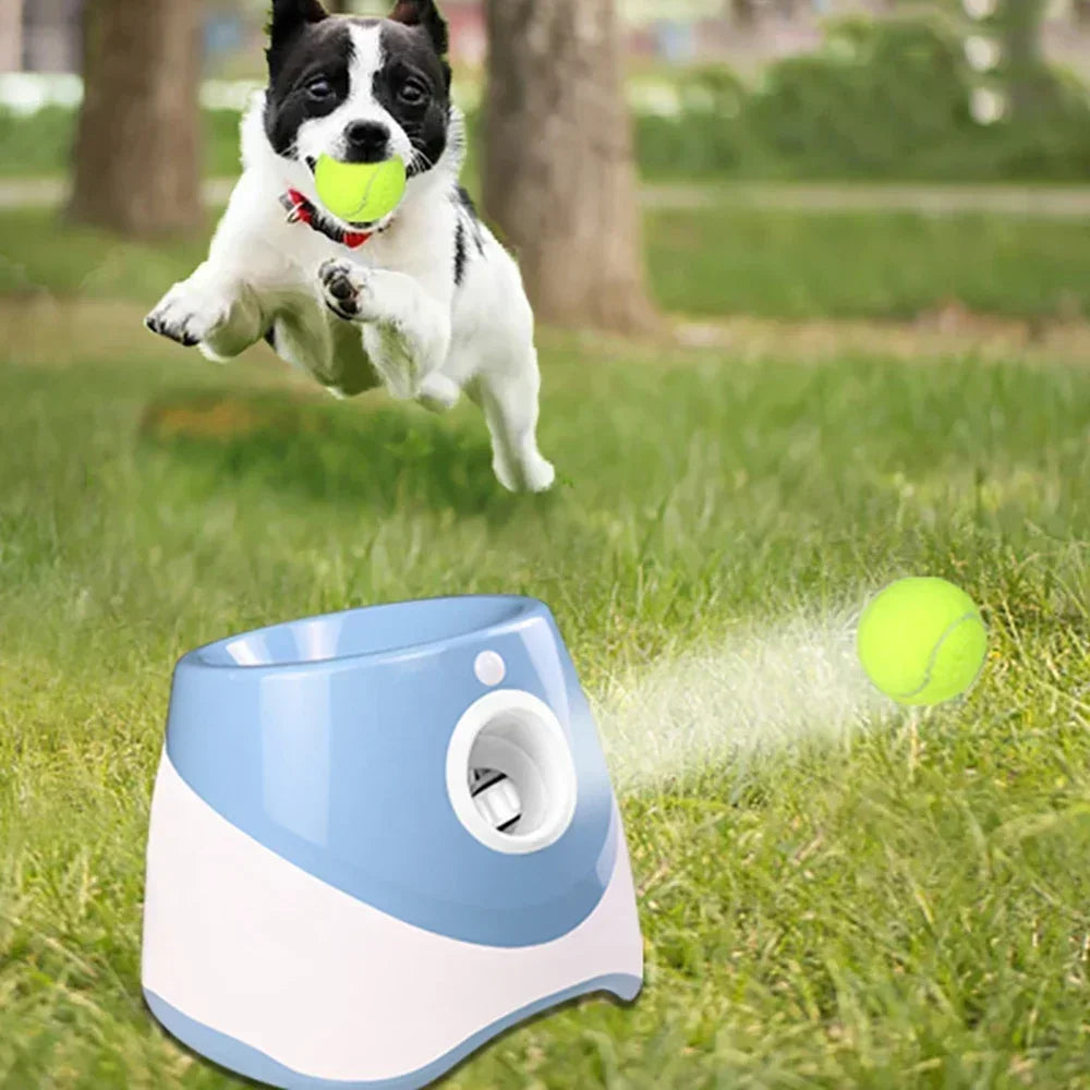 Juguete lanzador de pelotas para perros