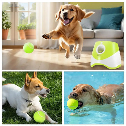 Juguete lanzador de pelotas para perros