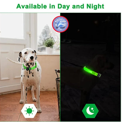 Collar luminoso recargable por USB, ajustable, con luz LED brillante, para perros grandes y pequeños, con luz nocturna y arnés de seguridad para mascotas.