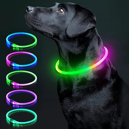 Collar luminoso recargable por USB, ajustable, con luz LED brillante, para perros grandes y pequeños, con luz nocturna y arnés de seguridad para mascotas.