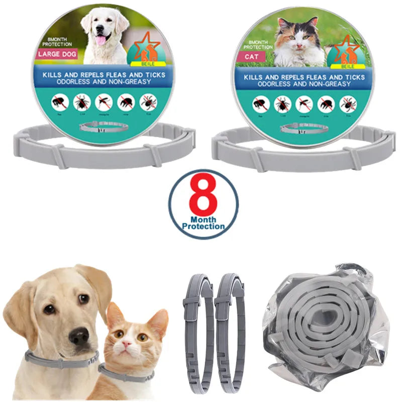 Collar luminoso recargable por USB, ajustable, con luz LED brillante, para perros grandes y pequeños, con luz nocturna y arnés de seguridad para mascotas.