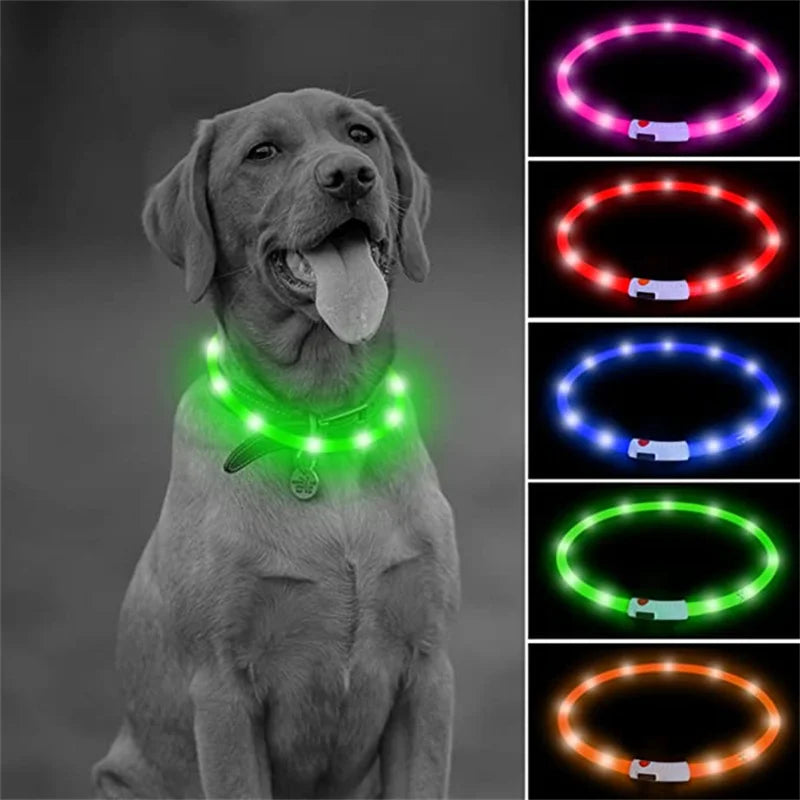 Collar luminoso recargable por USB, ajustable, con luz LED brillante, para perros grandes y pequeños, con luz nocturna y arnés de seguridad para mascotas.