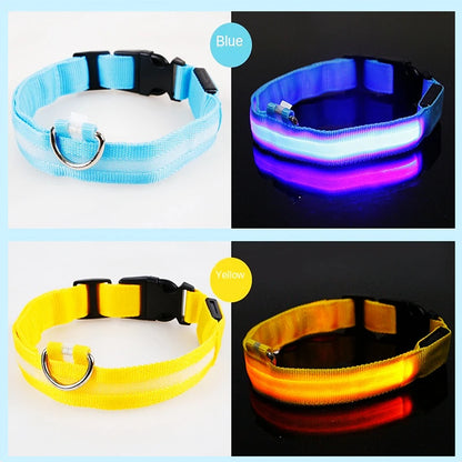 Collar luminoso recargable por USB, ajustable, con luz LED brillante, para perros grandes y pequeños, con luz nocturna y arnés de seguridad para mascotas.