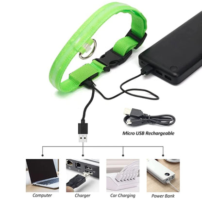 Collar luminoso recargable por USB, ajustable, con luz LED brillante, para perros grandes y pequeños, con luz nocturna y arnés de seguridad para mascotas.