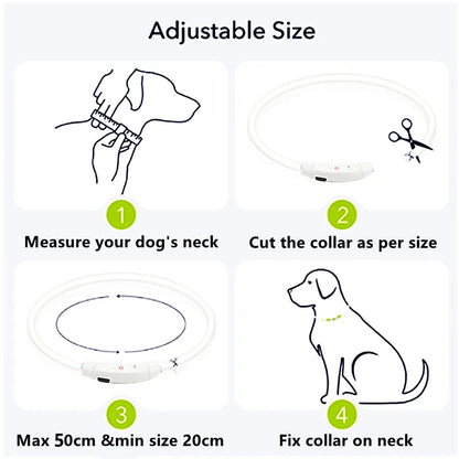 Collar luminoso recargable por USB, ajustable, con luz LED brillante, para perros grandes y pequeños, con luz nocturna y arnés de seguridad para mascotas.