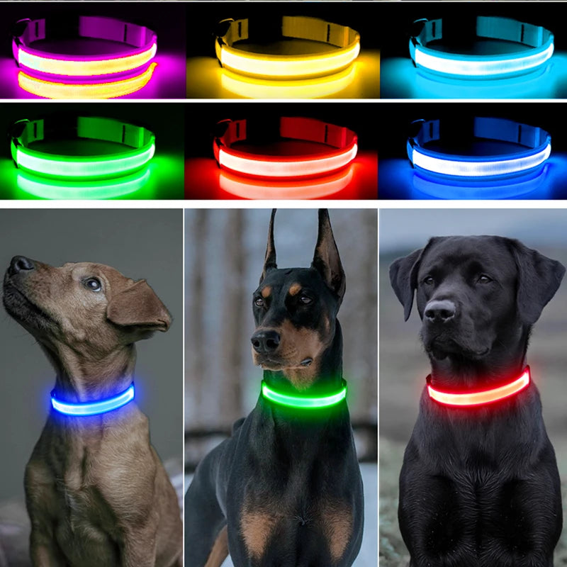 Collar luminoso recargable por USB, ajustable, con luz LED brillante, para perros grandes y pequeños, con luz nocturna y arnés de seguridad para mascotas.