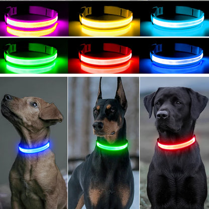 Collar luminoso recargable por USB, ajustable, con luz LED brillante, para perros grandes y pequeños, con luz nocturna y arnés de seguridad para mascotas.
