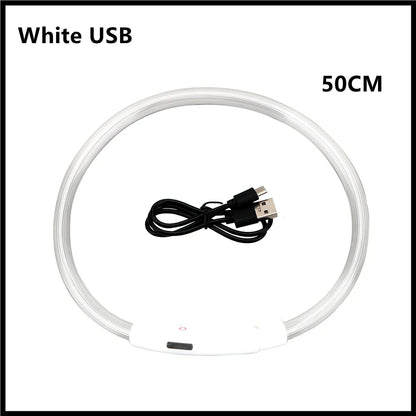 Collar luminoso recargable por USB, ajustable, con luz LED brillante, para perros grandes y pequeños, con luz nocturna y arnés de seguridad para mascotas.