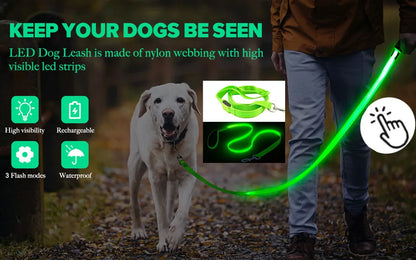 Collar luminoso recargable por USB, ajustable, con luz LED brillante, para perros grandes y pequeños, con luz nocturna y arnés de seguridad para mascotas.