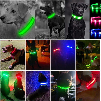 Collar luminoso recargable por USB, ajustable, con luz LED brillante, para perros grandes y pequeños, con luz nocturna y arnés de seguridad para mascotas.