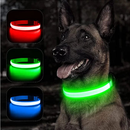 Collar luminoso recargable por USB, ajustable, con luz LED brillante, para perros grandes y pequeños, con luz nocturna y arnés de seguridad para mascotas.