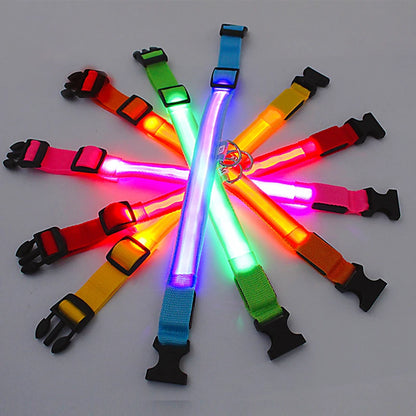 Collar luminoso recargable por USB, ajustable, con luz LED brillante, para perros grandes y pequeños, con luz nocturna y arnés de seguridad para mascotas.