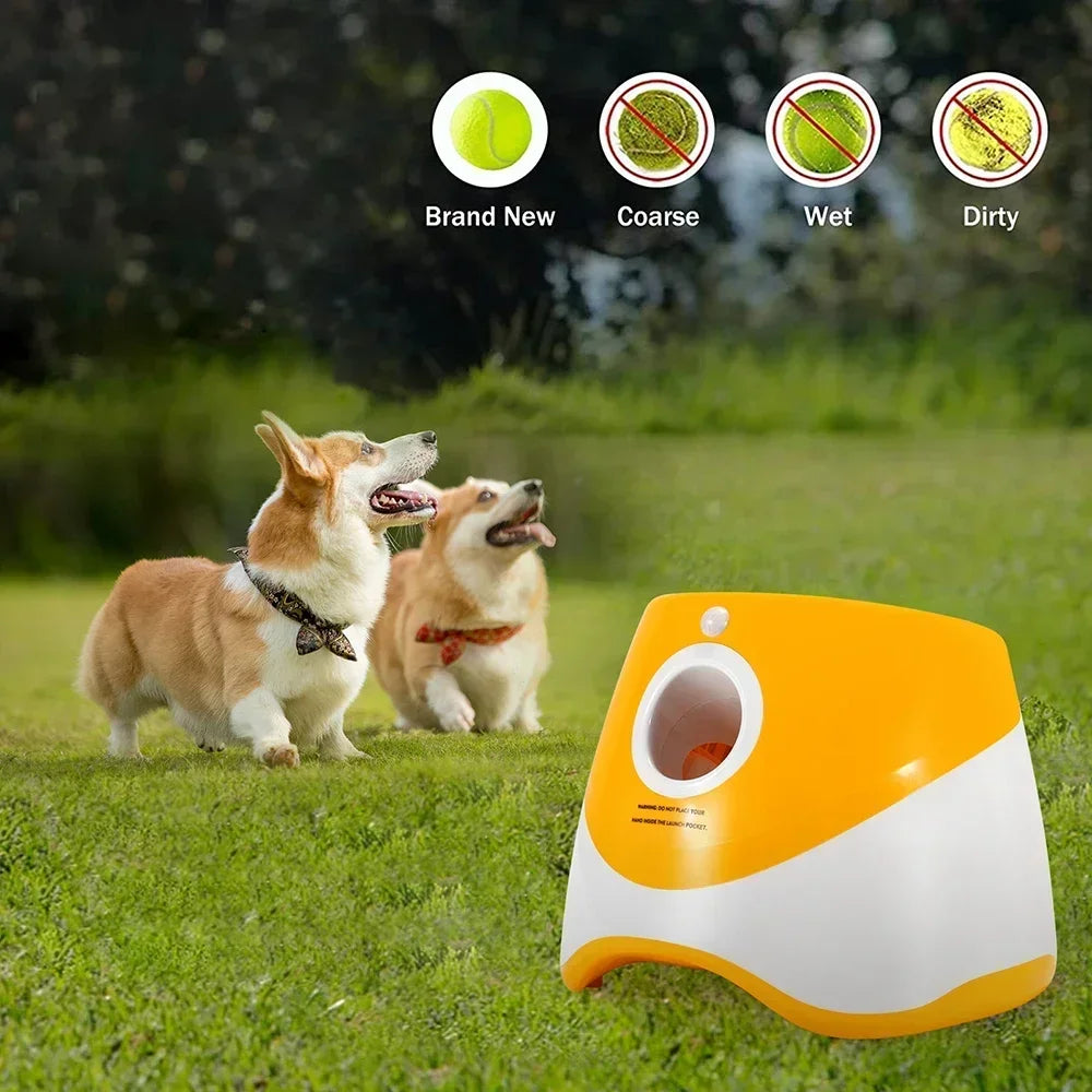 Juguete lanzador de pelotas para perros Productos para mascotas Juguetes para perros Mantener la salud de la mascota Lanzamiento automático 3 configuraciones de distancias Para jugar en interiores y exteriores