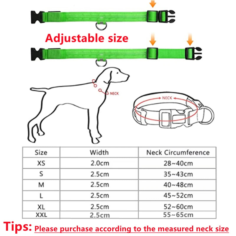 Collar luminoso recargable por USB, ajustable, con luz LED brillante, para perros grandes y pequeños, con luz nocturna y arnés de seguridad para mascotas.