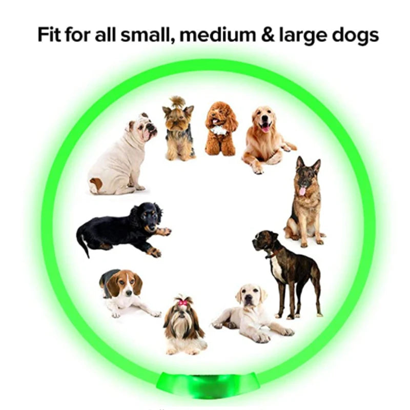 Collar luminoso recargable por USB, ajustable, con luz LED brillante, para perros grandes y pequeños, con luz nocturna y arnés de seguridad para mascotas.