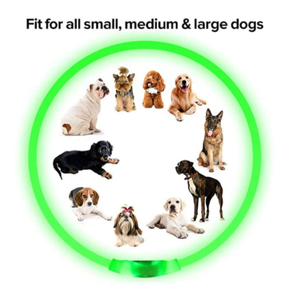 Collar luminoso recargable por USB, ajustable, con luz LED brillante, para perros grandes y pequeños, con luz nocturna y arnés de seguridad para mascotas.