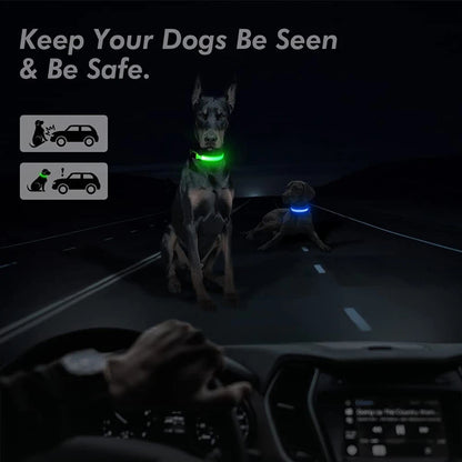 Collar luminoso recargable por USB, ajustable, con luz LED brillante, para perros grandes y pequeños, con luz nocturna y arnés de seguridad para mascotas.